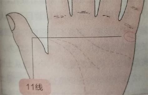 小指下直紋|手診中14條標準的掌紋線，怎樣區別？分別代表些什。